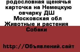 родословная-щенячья карточка на Немецкую овчарку ДШ - Московская обл. Животные и растения » Собаки   